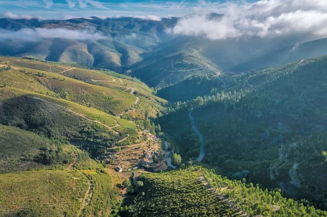 Foz Da Cova community